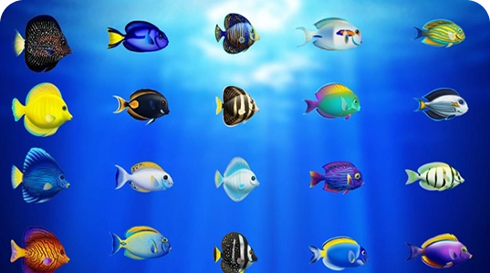 Bắn Cá Đổi Thưởng – Thưởng khủng mỗi lần hạ boss